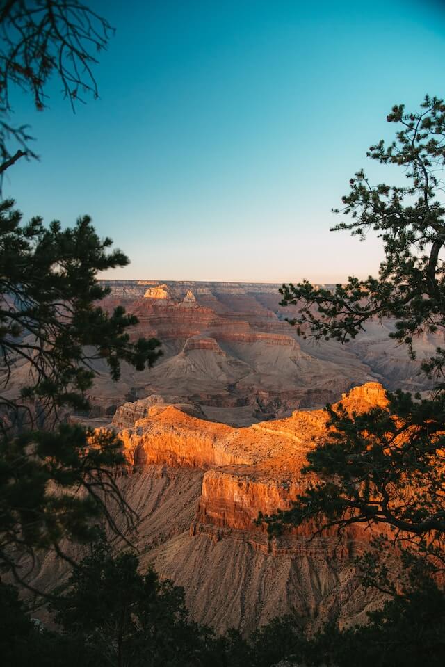 Grand Canyon view framed by green tree branches
